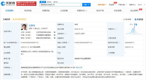 互聯網游戲服務 連接、沉浸與變革